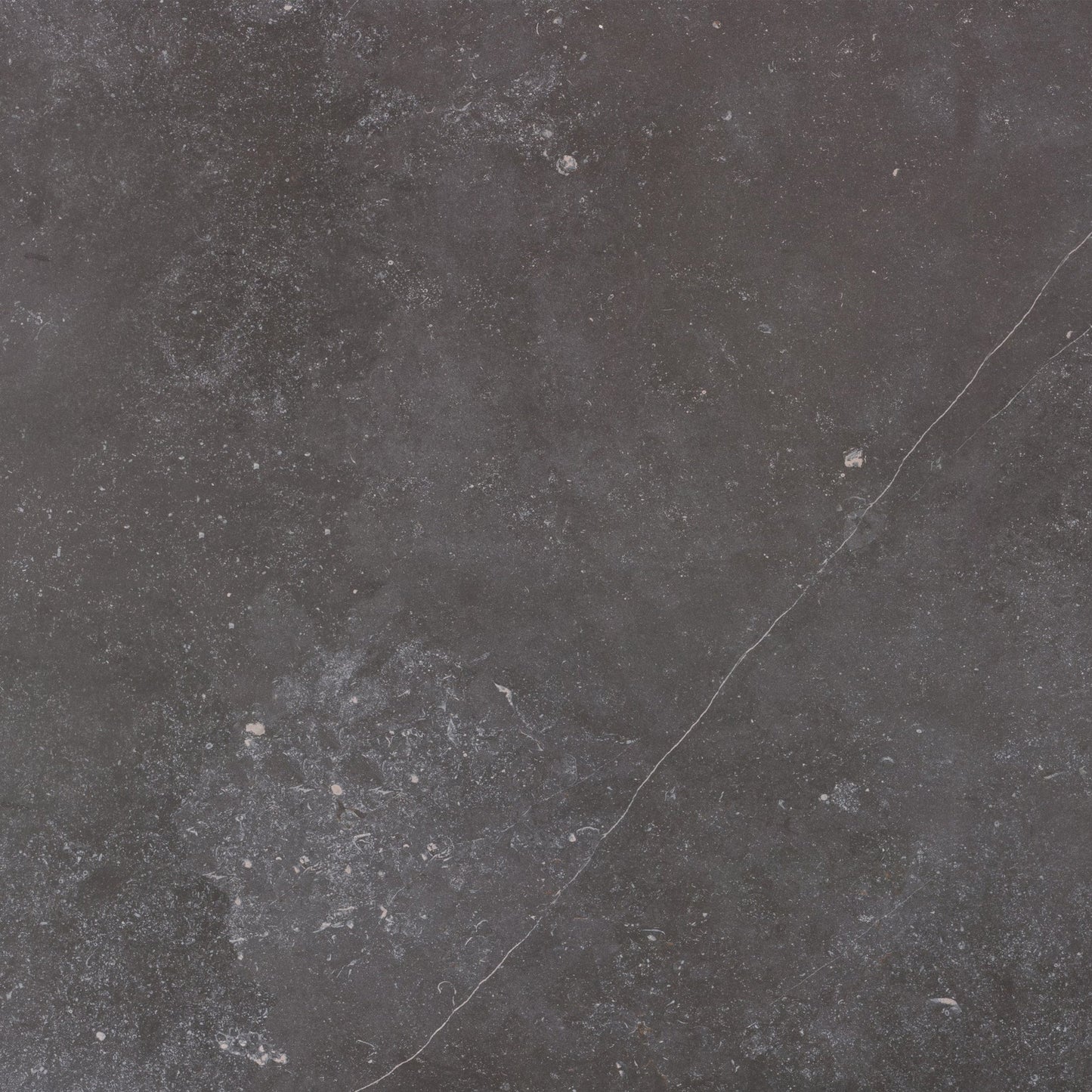Cosentino Dekton Natural Collection Fossil Matte 126" x 56" Dekton Slab