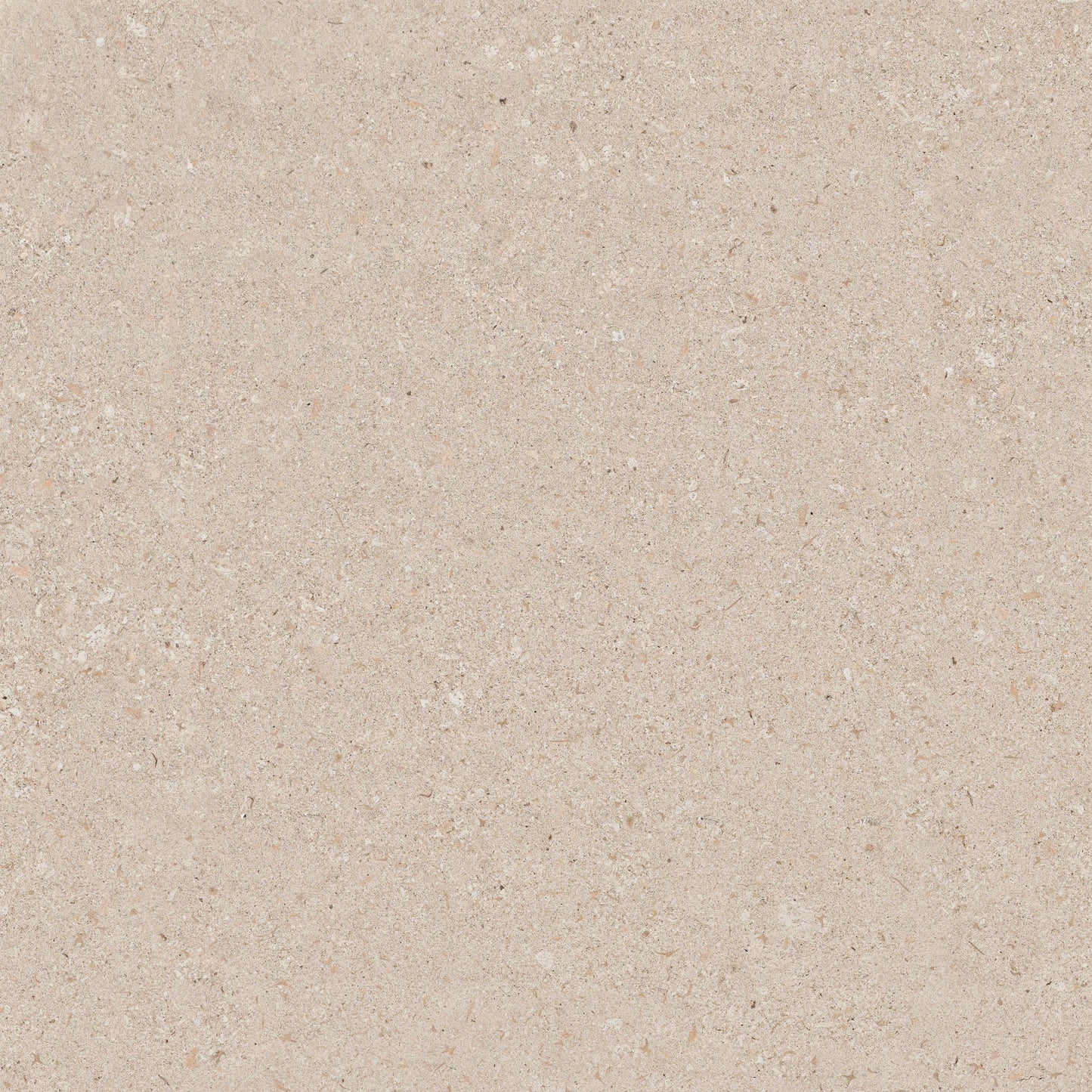 Cosentino Dekton Pietra Kode Collection Avorio Matte 126" x 56" Dekton Slab