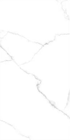 Raphael Stone Statuario Matte/Polished Porcelain Tile