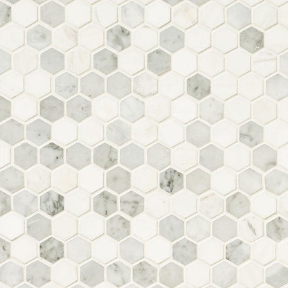 MSI Bianco Dolomite Tibi (1" Hexagon Pieces) 11.75" x 11.75" Polished Marble Mosaic Tile