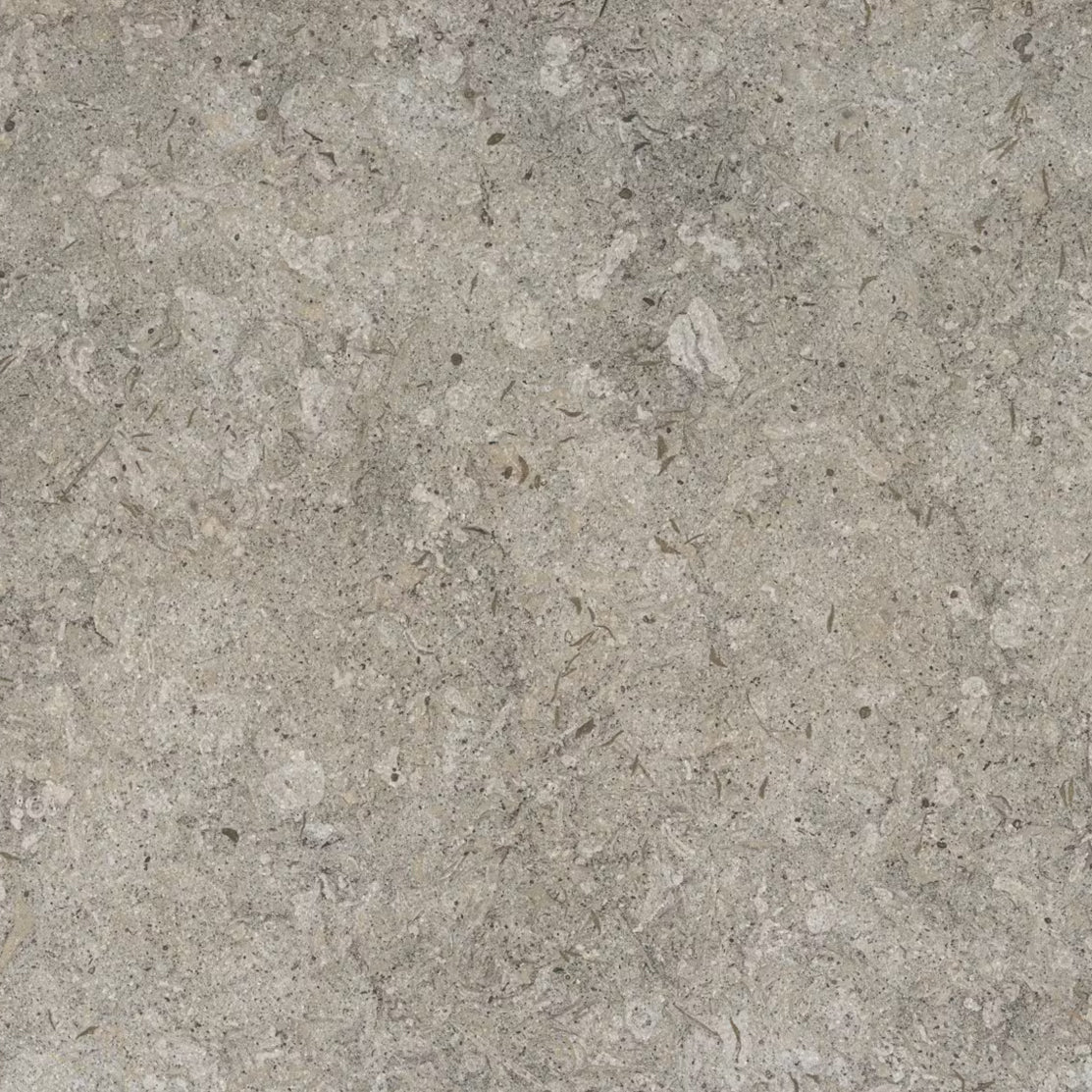 Cosentino Dekton Pietra Collection Grigio Matte 126" x 56" Dekton Slab