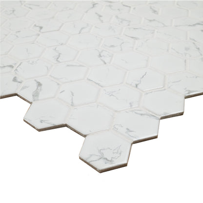 MSI Carrara Hexagon (2" Pieces) 12" x 12" Matte Porcelain Mosaic Tile