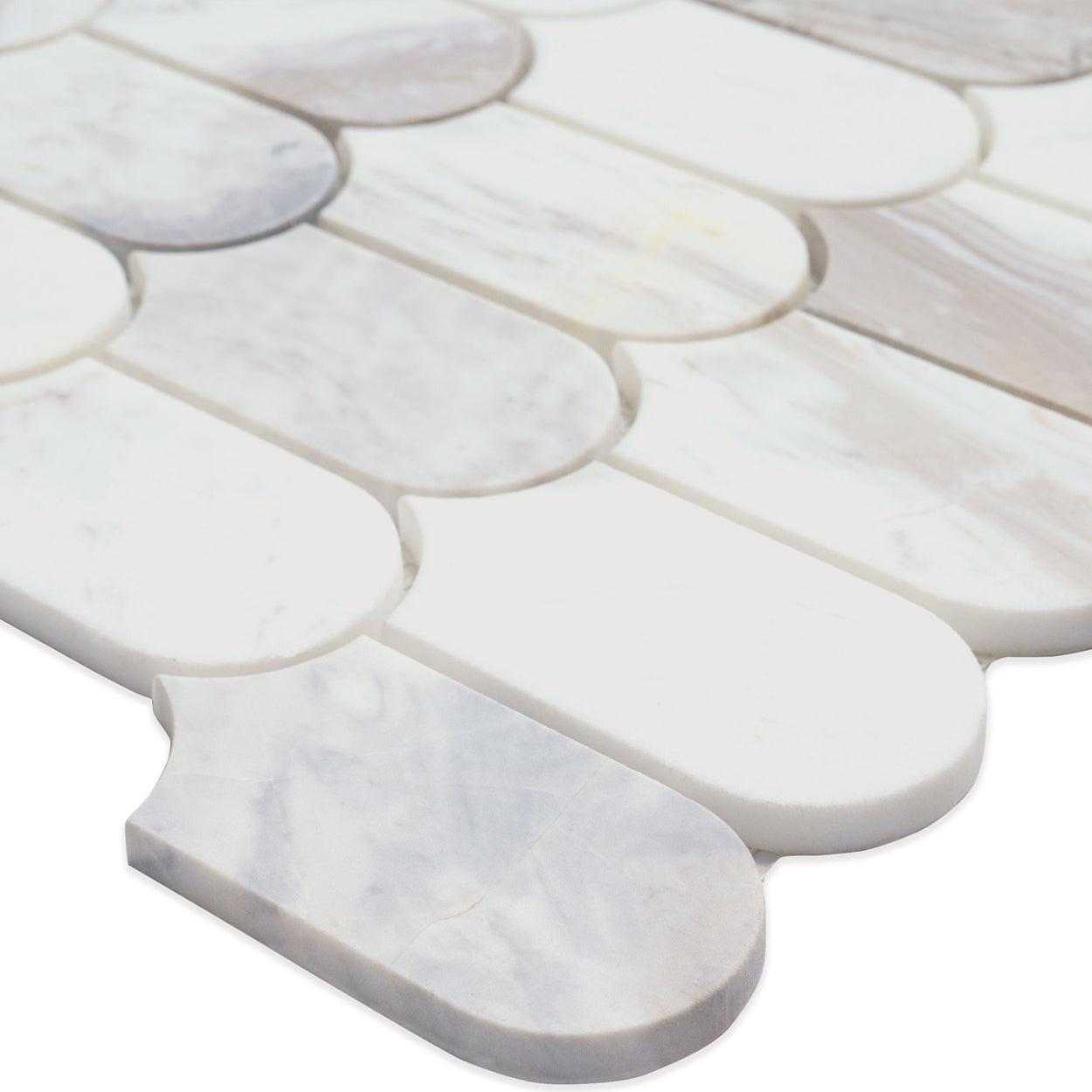 MSI Edessa Scallop 12.75" x 13" Polished Marble Mosaic Tile
