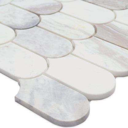 MSI Edessa Scallop 12.75" x 13" Polished Marble Mosaic Tile