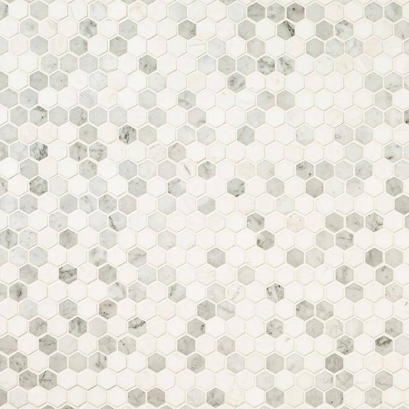 MSI Bianco Dolomite Tibi (1" Hexagon Pieces) 11.75" x 11.75" Polished Marble Mosaic Tile