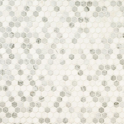 MSI Bianco Dolomite Tibi (1" Hexagon Pieces) 11.75" x 11.75" Polished Marble Mosaic Tile