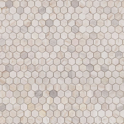 Elysium Tiles Hexagon Eura Polished (2" x 2" pieces) 11.75" x 12" Marble Mosaic Tile