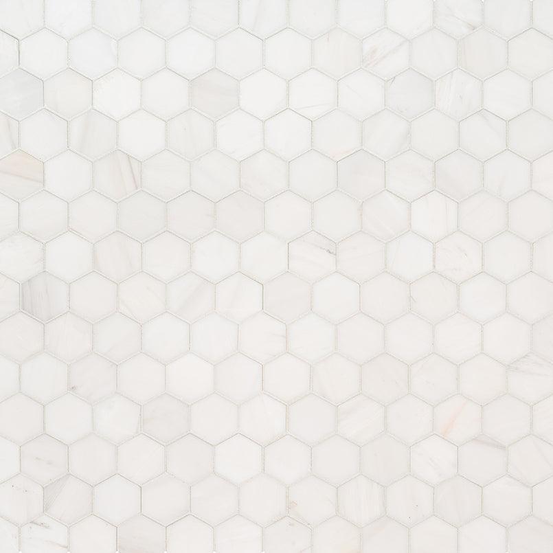 MSI Bianco Dolomite (2" Hexagon Pieces) 11.75" x 12" Polished Marble Mosaic Tile