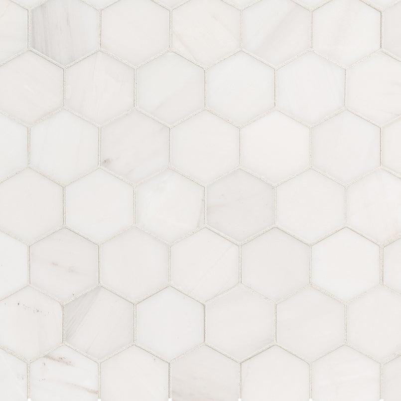MSI Bianco Dolomite (2" Hexagon Pieces) 11.75" x 12" Polished Marble Mosaic Tile
