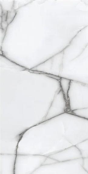 Raphael Stone Calacatta Spider Polished Porcelain Tile