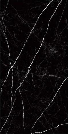 Raphael Stone Nero Marquina Matte/Polished Porcelain Tile