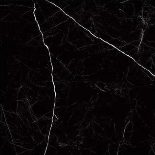 Raphael Stone Nero Marquina Matte/Polished Porcelain Tile