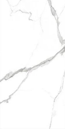 Raphael Stone Statuario Classico Matte/Polished Porcelain Tile