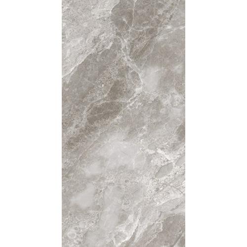 Siena Decor Corina Collection Grey 12" x 24" Matte Porcelain Tile