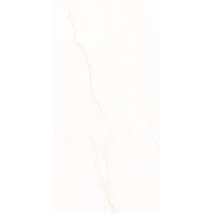 Siena Decor Geoblanco Collection Swing 24" x 48" Polished Porcelain Tile