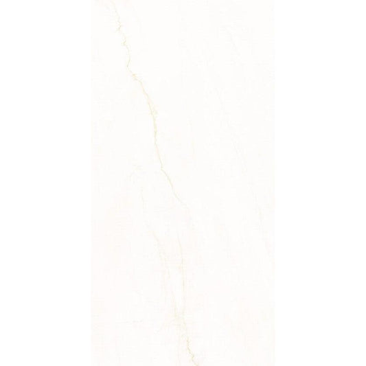 Siena Decor Geoblanco Collection Swing 24" x 48" Polished Porcelain Tile