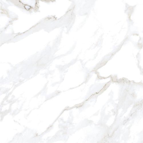 Siena Decor Lux Collection Calcutta White 24" x 24" Polished Porcelain Tile