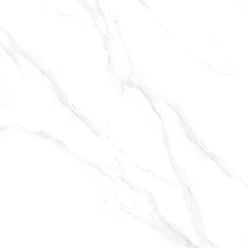 Siena Decor Lux Collection Classic Coral 24" x 24" Polished Porcelain Tile