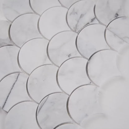 MSI Calacatta Blanco Scallop 11.5" x 11.5" Polished Marble Mosaic Tile